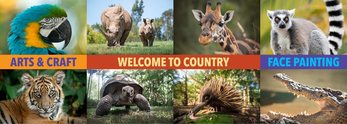 Australia Zoo wildlife images with event highlight text: Arts & Craft; Welcome to Country; Face Painting